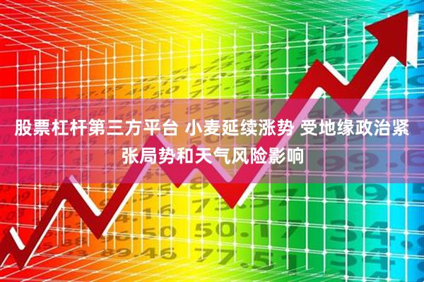 股票杠杆第三方平台 小麦延续涨势 受地缘政治紧张局势和天气风险影响