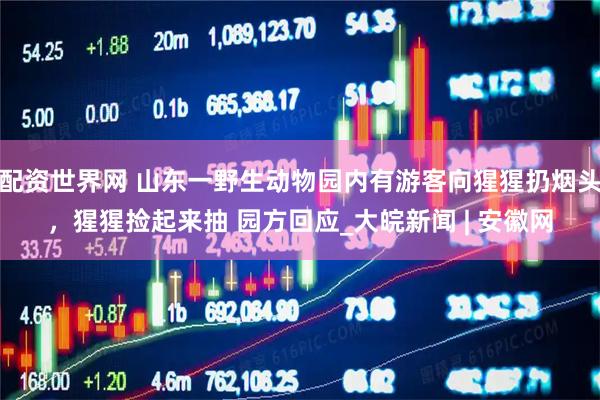 配资世界网 山东一野生动物园内有游客向猩猩扔烟头，猩猩捡起来抽 园方回应_大皖新闻 | 安徽网